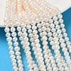 Natural Cultured Freshwater Pearl Beads Strands PA-CBAC463-08-1