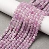 Natural Kunzite Beads Strands G-P587-C01-01-1