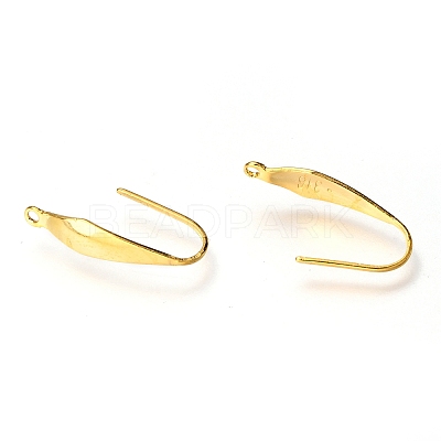 316 Surgical Stainless Steel Earring Hooks STAS-P166-10G-1