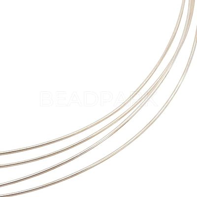 1Pc 999 Fine Silver Wire STER-BC0001-66B-1