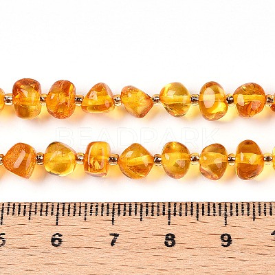 Natural Amber Beads Strands G-T138-236-1