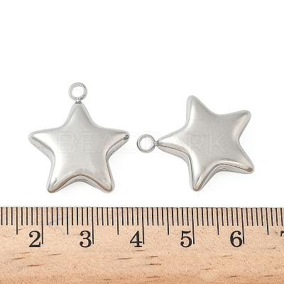 304 Stainless Steel Pendants STAS-S186-01B-P-1