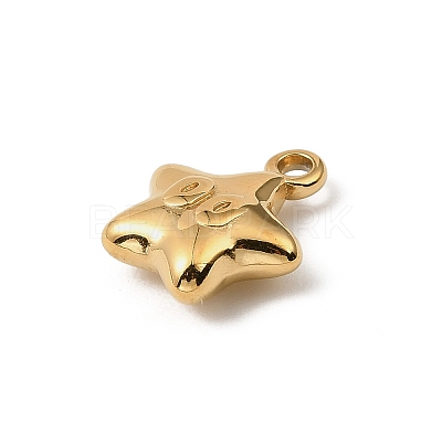 304 Stainless Steel Charms STAS-F327-03E-G-1