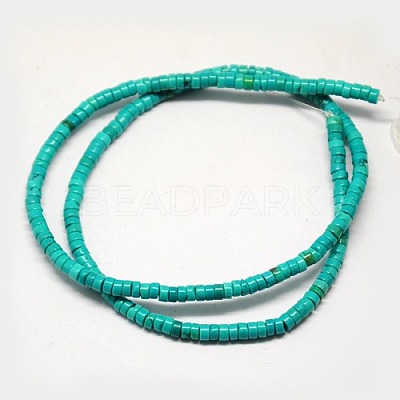 Natural Magnesite Beads Strands TURQ-L025-A-01-1