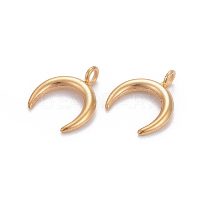 304 Stainless Steel Pendants STAS-L218-16G-1