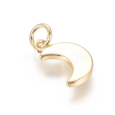 Brass Charms KK-F811-10G-1