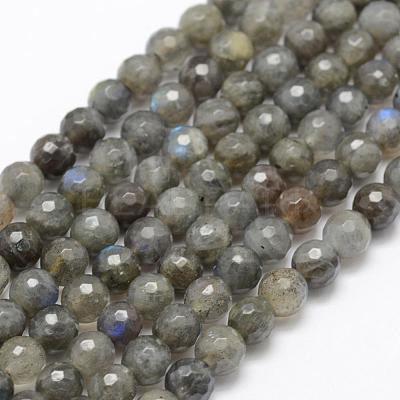 Natural Labradorite Beads Strands G-P322-30-6mm-1