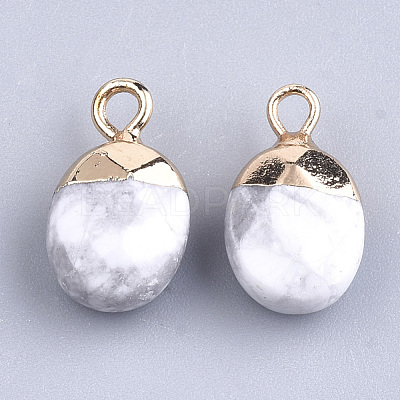 Electroplate Natural Howlite Charms X-G-S344-09F-1