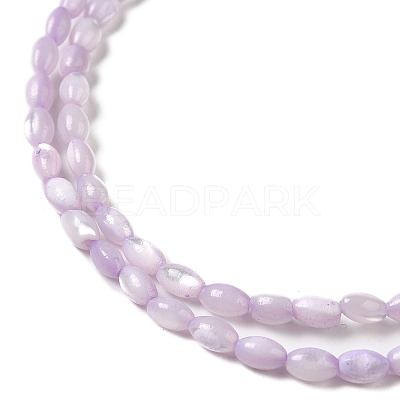 Natural Trochus Shell Beads Strands SHEL-K006-19B-1