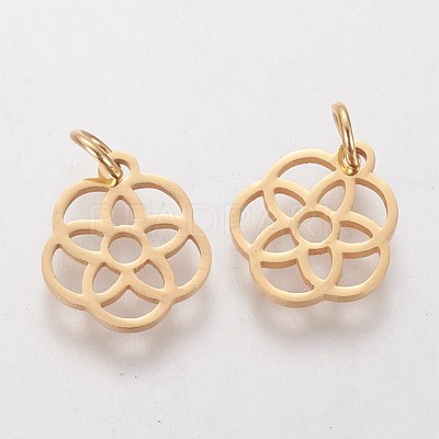 304 Stainless Steel Pendants STAS-Q201-T454G-1
