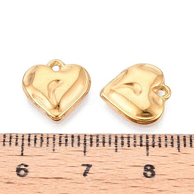 304 Stainless Steel Charms STAS-T065-24B-G-1