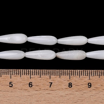 Natural Freshwater Shell Beads Strands SHEL-A004-03-1