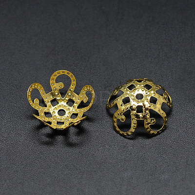 Plated Iron Fancy Bead Caps X-IFIN-S696-19G-1