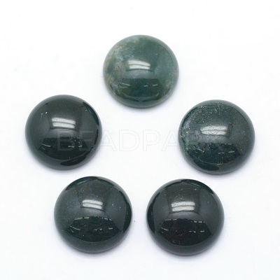 Natural Moss Agate Cabochons X-G-P393-R28-12mm-1