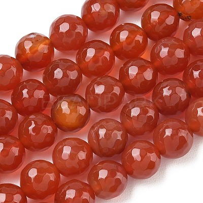 Natural Agate Beads Strands G-M435-B01-01P-1