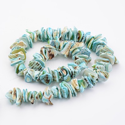 Natural Shell Bead Strands X-BSHE-P010-04-1