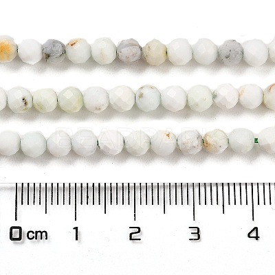 Natural Green Opal Beads Strands G-Z035-A02-03D-1