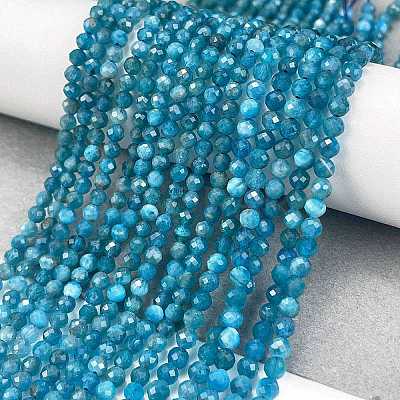 Natural Apatite Beads Strands G-Z057-B02-02-1