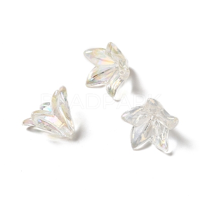 Transparent Acrylic Bead Caps OACR-H016-05-1