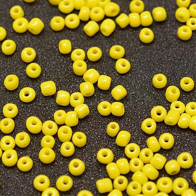 6/0 Glass Seed Beads X-SEED-J014-F6-42-1