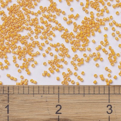 MIYUKI Delica Beads X-SEED-J020-DB0651-1