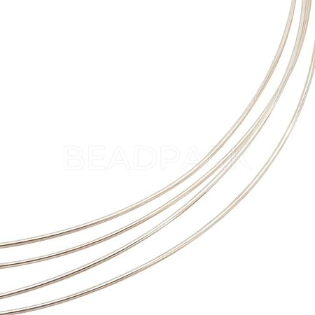 1Pc 999 Fine Silver Wire STER-BC0001-66B-1