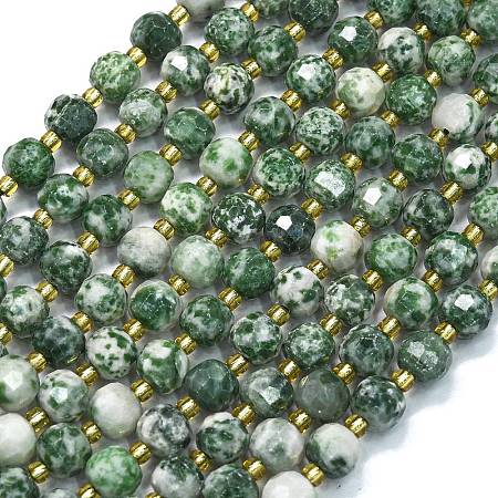 Natural Green Spot Jasper Beads Strands G-K389-E64-01-1