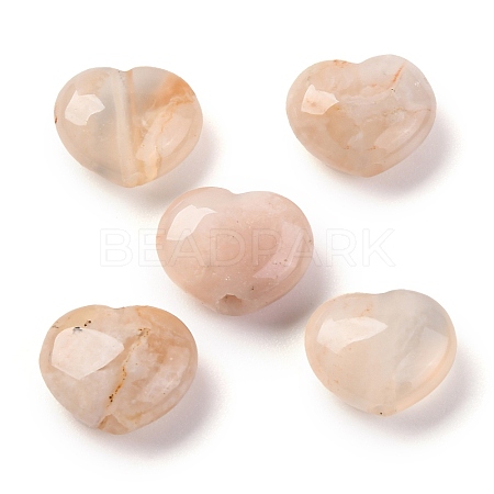 Natural Cherry Blossom Agate Beads G-K369-03G-1