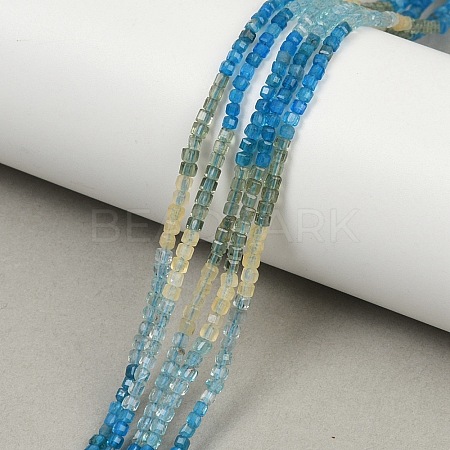 Natural Blue Green Yellow Apatite Beads Strands G-NH0050-B01-01-1