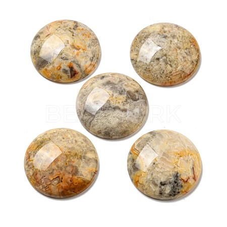 Natural Crazy Agate Cabochons G-C115-02B-23-1