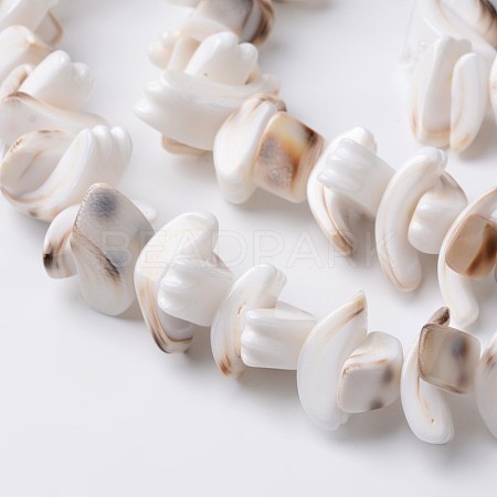 Natural Tiger Cowrie Shell Beads Strands X-BSHE-O016-21-1