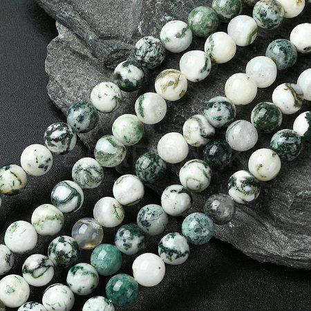 Natural Tree Agate Beads Strands G-K194-8mm-02-1