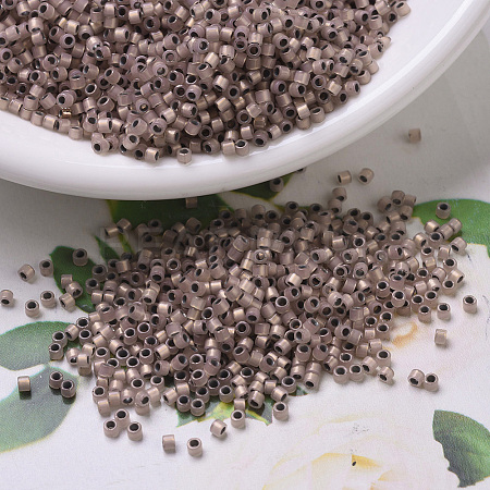 MIYUKI Delica Beads SEED-X0054-DB0191-1