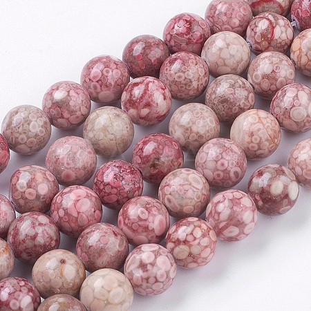 Natural Fossil Coral Beads Strands G-F563-01-10mm-1