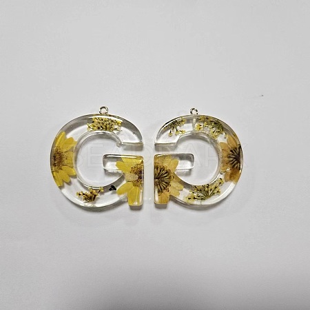 Transparent Epoxy Resin Pendants CRES-YW0002-12G-1