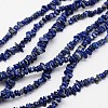 Chips Natural Lapis Lazuli Beads Strands X-G-N0164-46-1