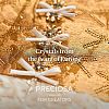 Preciosa® MAXIMA Crystal No Hotfix Flatback Stones Y-PRC-NSS10-70040-5