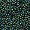TOHO 11/0 Round Beads SEED-XTR11-0179F-2