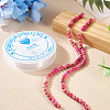 DIY Natural Regalite/Imperial Jasper/Sea Sediment Jasper Beads Bracelets  Making KIts DIY-TA0002-69F-6