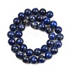 Natural Lapis Lazuli Beads Strands G-S333-10mm-013-5