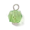 Transparent Acrylic Pendants PALLOY-JF04258-02-3