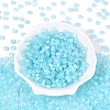600Pcs Glass Seed Beads SEED-PA0001-17A-4