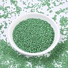 MIYUKI Round Rocailles Beads SEED-X0054-RR0646-2
