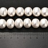 Shell Pearl Beads Strands BSHE-F013-01A-5