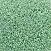 TOHO 11/0 Round Beads SEED-TR11-0144-2