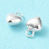925 Sterling Silver Charms STER-H106-01D-S-3