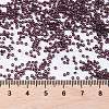 MIYUKI Round Rocailles Beads SEED-X0056-RR2402-4