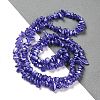 Electroplate Glass Beads Strands GLAA-P062-B12-2