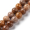 Natural Flower Agate Beads Strands G-B044-A01-04-2