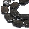 Natural Tektite Beads Strands G-K245-J16-01-3